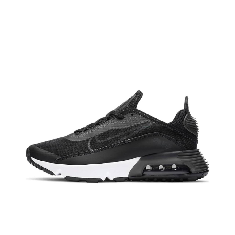 Nike Air Max 2090 Black