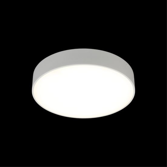 Светильник настенно-потолочный APL.0114.09.24