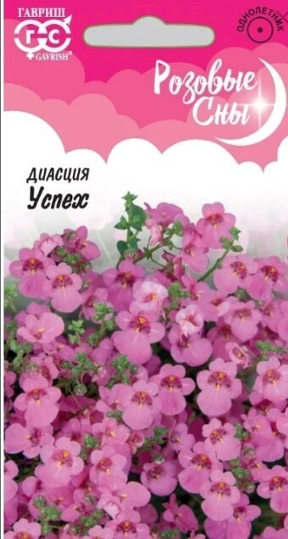 Диасция бородчатая Успех