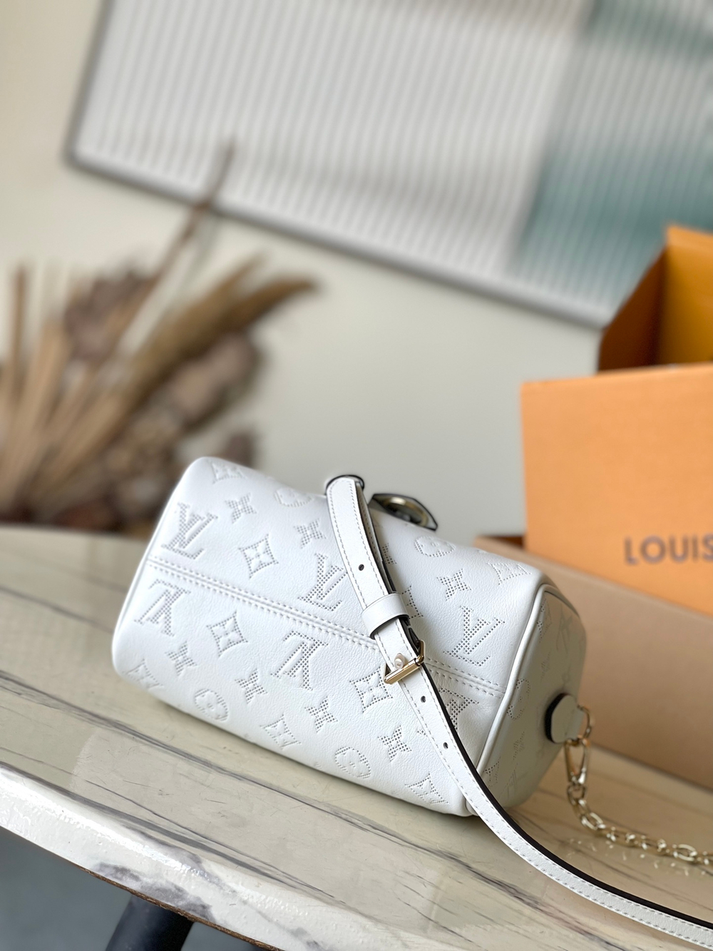 Louis Vuitton Speedy 20