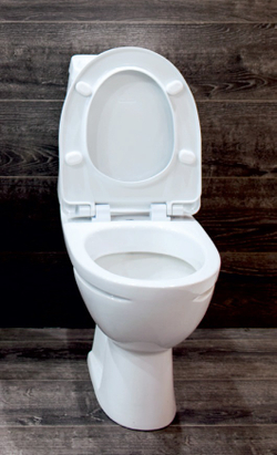 Унитаз-компакт Sanita Luxe Марс  Комфорт с сидением Wirquin