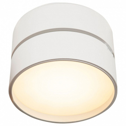 Спот Maytoni Technical C024CL-L18W