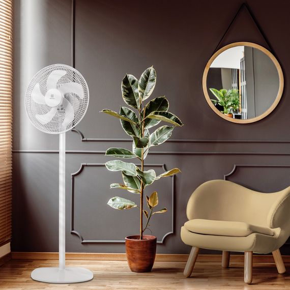 Вентилятор напольный Electrolux EFF-1005 купить в Москве и Московской области по низкой цене с доставкой по России — (4) Вентилятор напольный Electrolux EFF-1005 — (4)