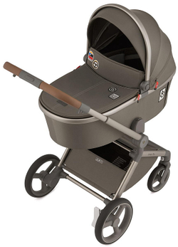 Детская коляска Anex Flo 2 в 1 Cesar