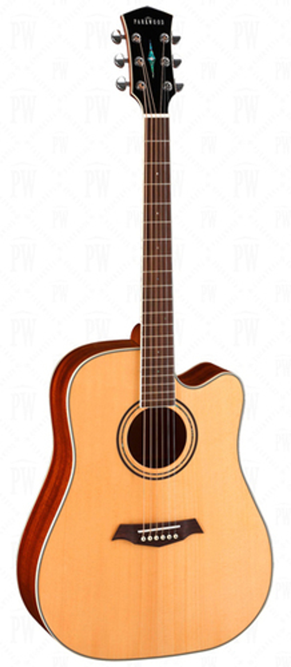 Электроакустика Parkwood S66