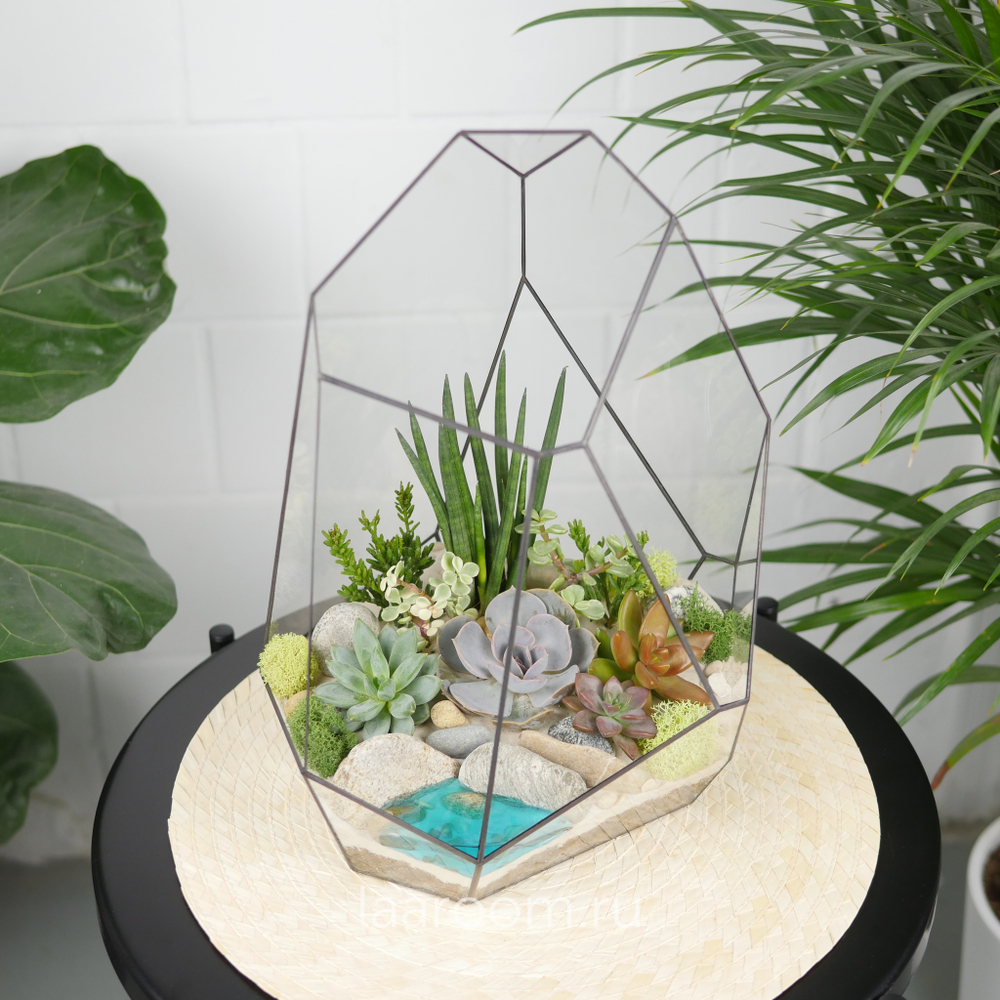 Флорариум с суккулентами Калипсо с озером