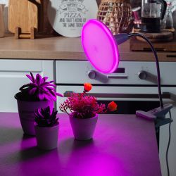 LED-U150-16W-SPSB-E27-FR PLP30WH Лампа светодиодная для растений. Форма UFO. матовая. Спектр для рассады и цветения. Картон. ТМ Uniel