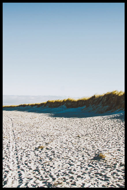 Интерьерная картина в технике цифровой печати. АРТ 037 Природа