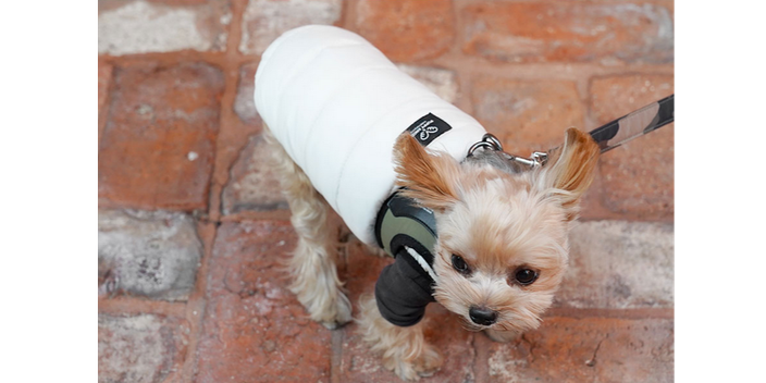 Безрукавки PUPPY ANGEL - 12 расцветок! 