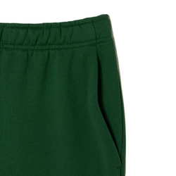 Мужские теннисные шорты Lacoste Sport Roland Garros Edition Flannel Shorts - green