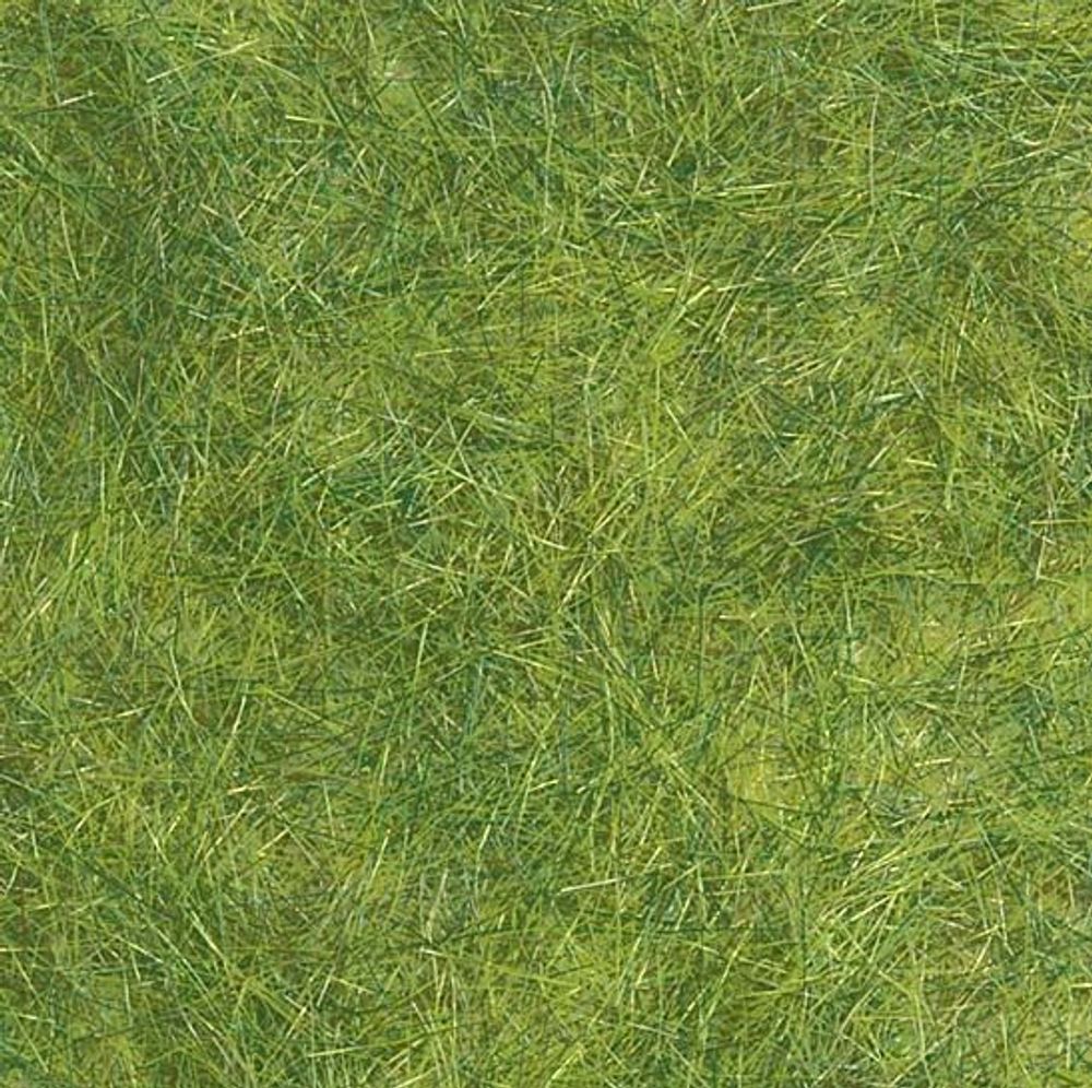 Дикая трава, флок, весенняя зелень