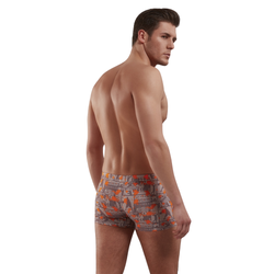 Мужские трусы боксеры серые с принтом Basketball Doreanse 1895