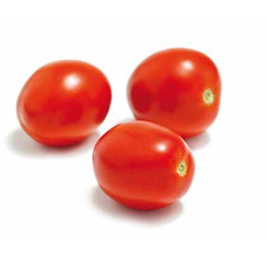 Жаг 8810 F1 семена томата детерминантного (Seminis / Семинис)