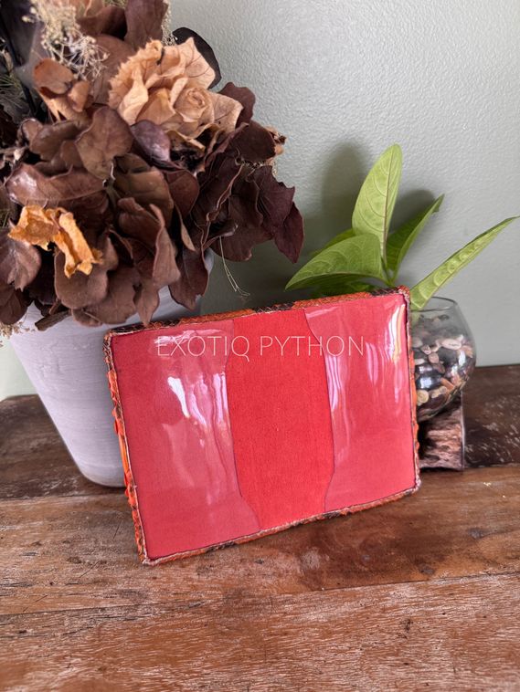 Обложка на паспорт из питона AC-138