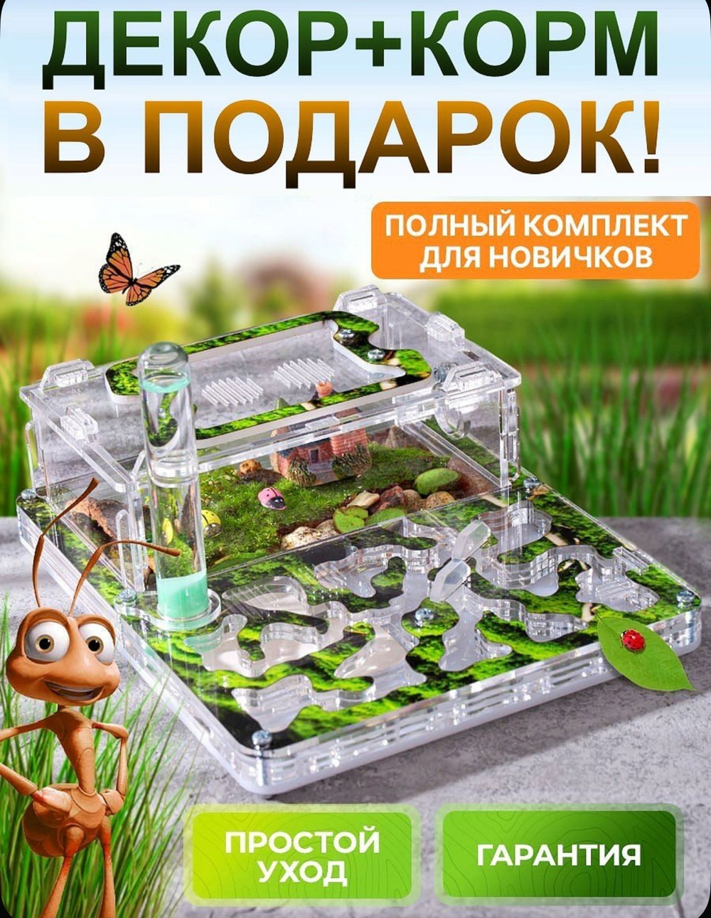 Муравьиная ферма с муравьями в подарок "Мох"