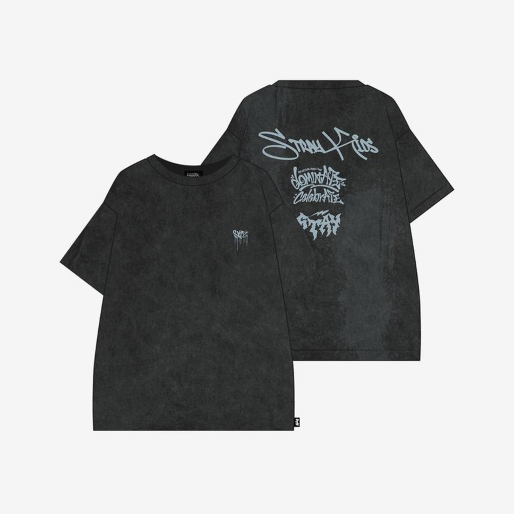 Мерч Stray Kids T-SHIRT- celebrATE