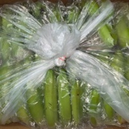 Коробка Зелёных Бананов, 19 кг