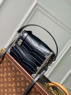 Louis Vuitton Side Trunk MM