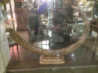 Бивень мамонта "Победа"