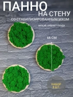 Панно из мха набор набор 3 шт.