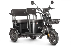 Электротрицикл Wanshida UM+ 60V 1000Вт