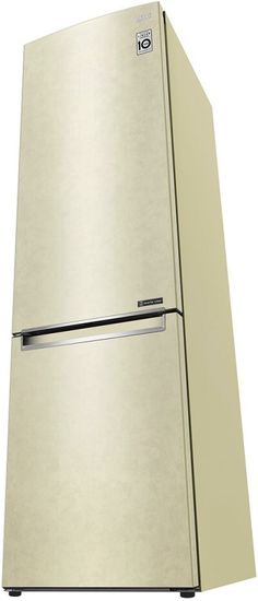 Холодильник LG GW-B509SEJZ