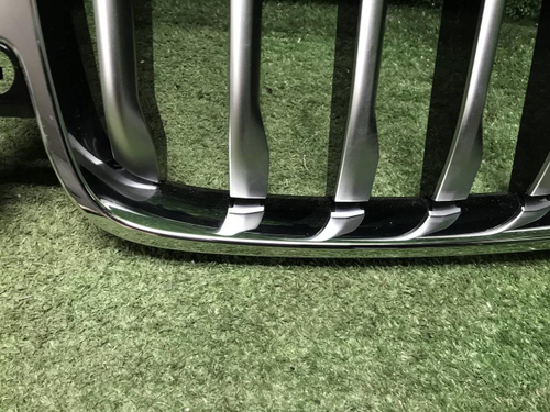Решетка радиатора BMW X7 G07 (2019-2022)