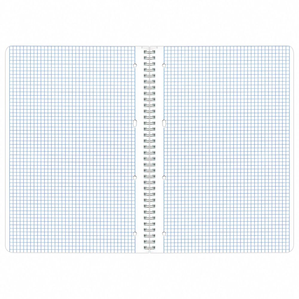 Тетрадь А4, 96 л., BRAUBERG, гребень, клетка, матовая ламинация, "Exotic", 404062, 4шт