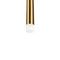Подвесной светодиодный светильник Loft IT Reed 10358/600 AB