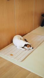 Перевозка для автомобиля Пони авто-доми Бежевый