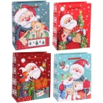 Пакет подарочный «Дедушка Мороз» 18*23*8 см, микс