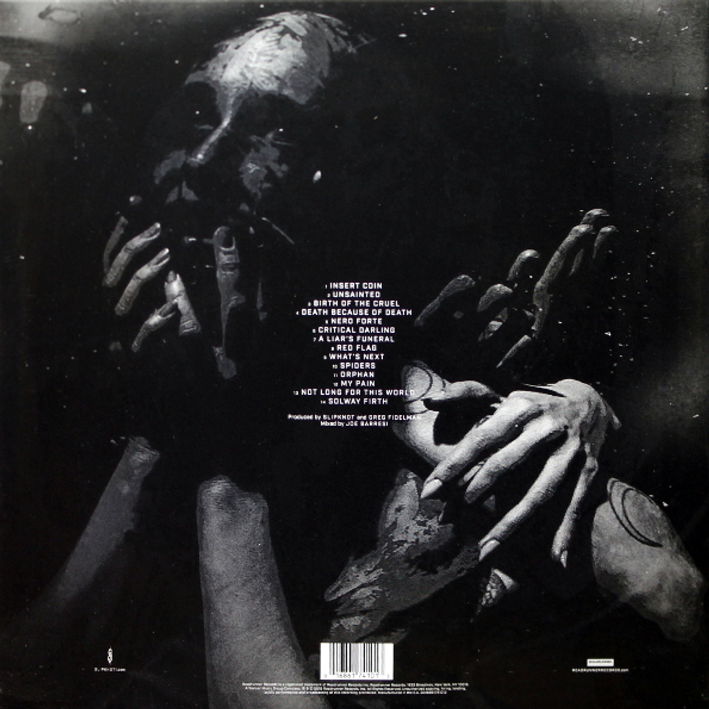 Slipknot / We Are Not Your Kind (2LP)