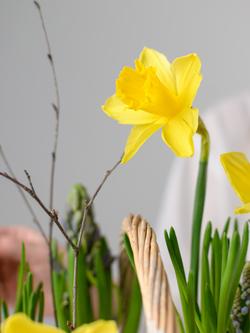 Корзина весны