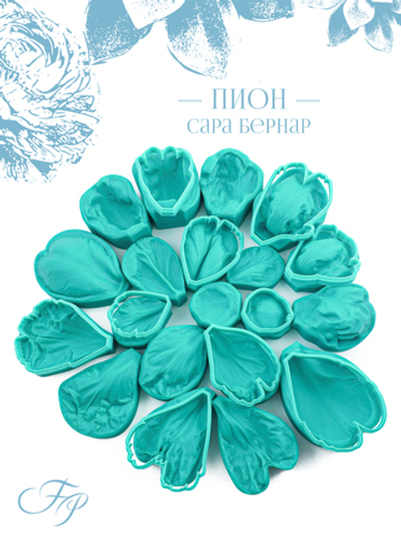 Пион Сара Бернар