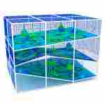 Верёвочный лабиринт «Приключение» 5×3×4 м