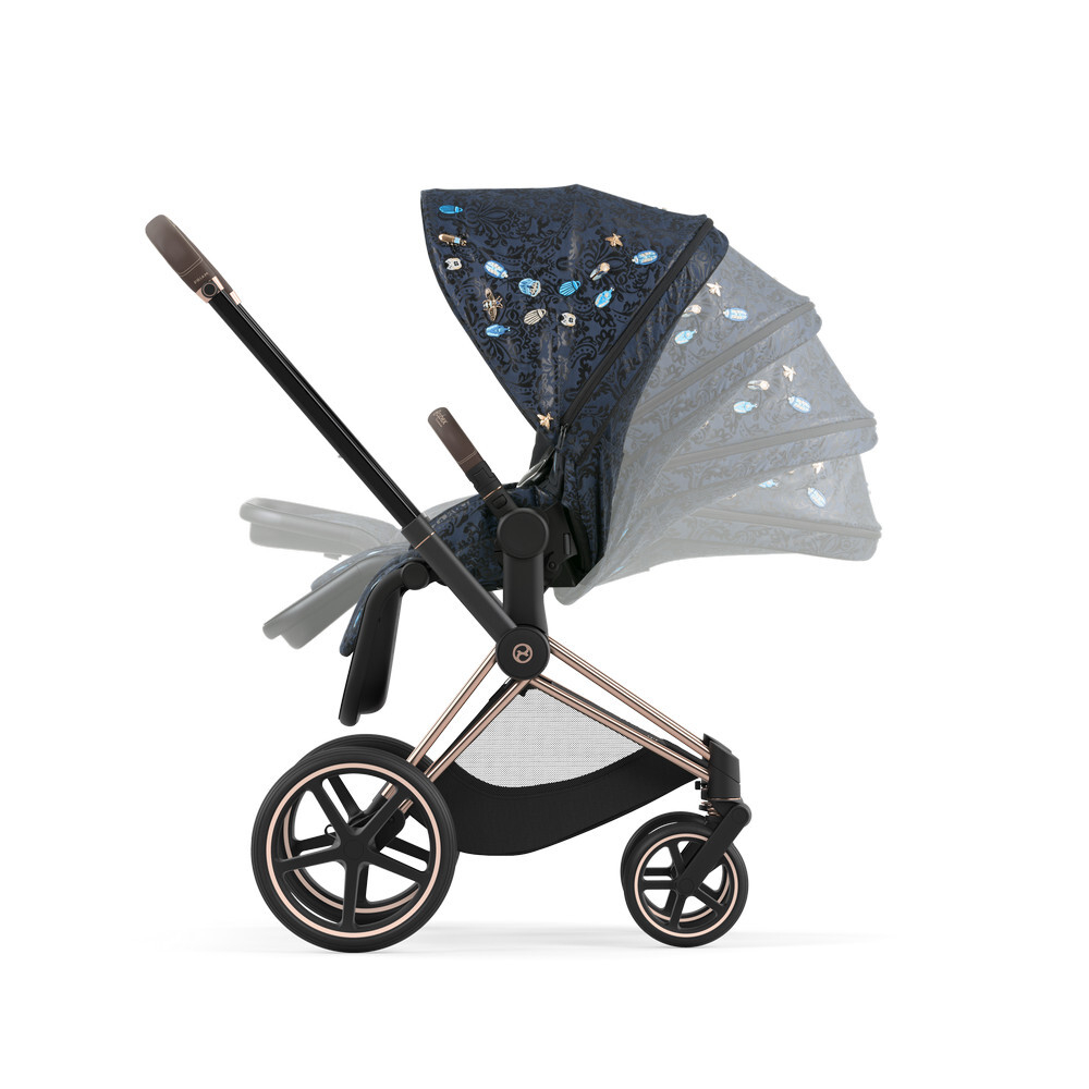 Cybex Priam IV Jewels Of Nature (2 в 1)