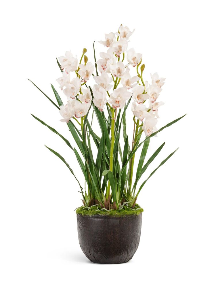 Орхидея Цимбидиум куст белый 3 ветки с имитацией земли (без кашпо), в-115 см