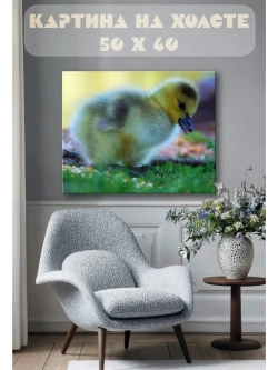 Картина на стену 40 X 50 Утята