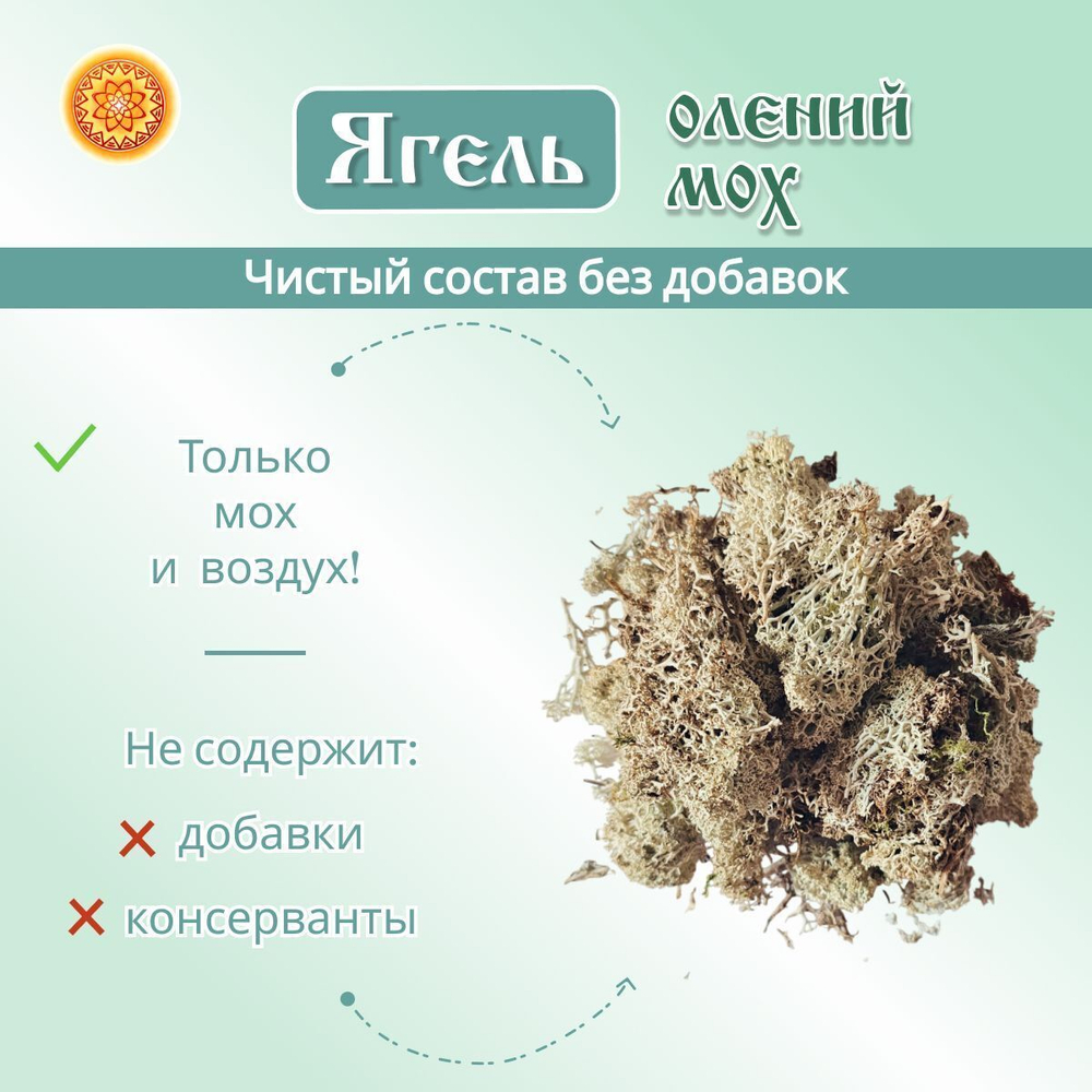 Ягель мох. Кладония.