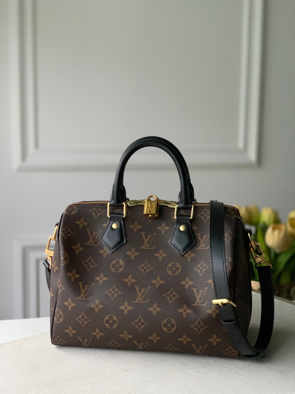 Louis Vuitton Speedy 25