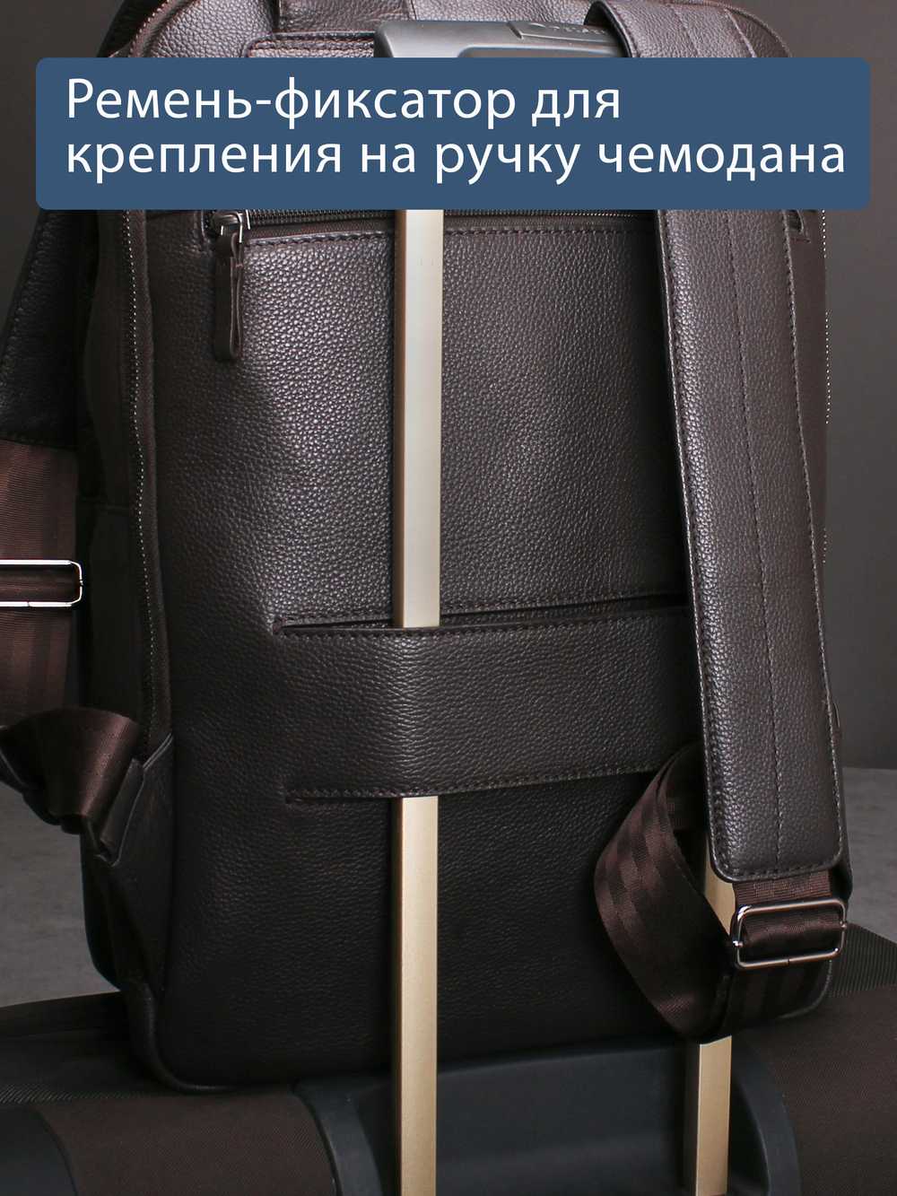 C800043 BROWN Рюкзак MP