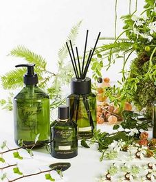 Жидкое мыло для рук и тела Заповедный лес, Christian Tortu