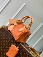 Louis Vuitton Speedy P9 Bandouliere 20