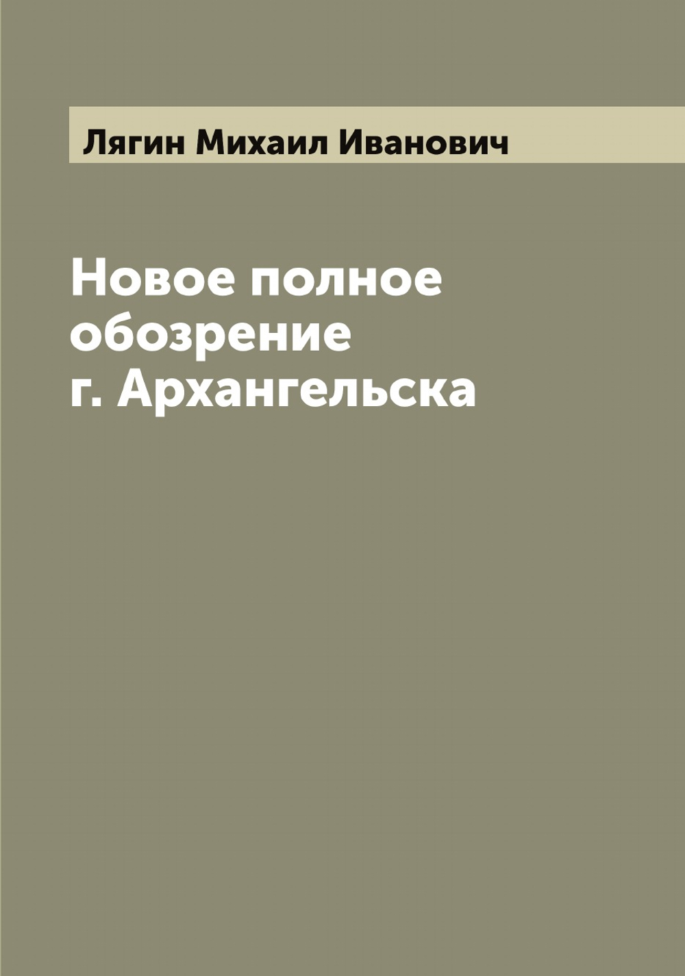 Новое полное обозрение г. Архангельска | Лягин Михаил Иванович