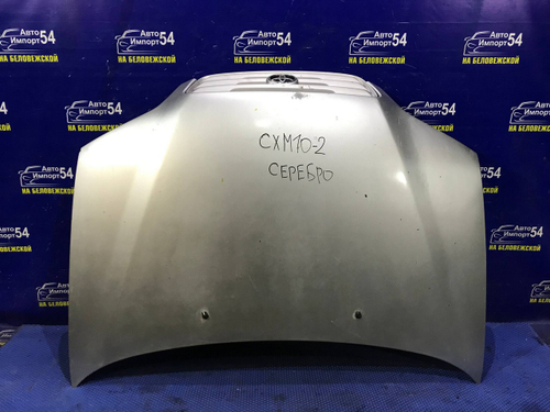 Капот TOYOTA IPSUM 1997