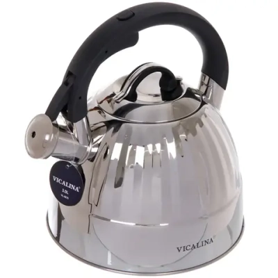 Чайник из нержавеющей стали 3л «Vicalina» VL-9275, матовый