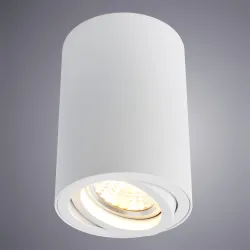 Точечный накладной светильник Arte Lamp SENTRY