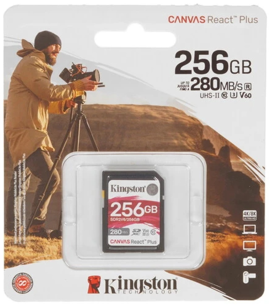 Карта памяти Kingston SDR2V6/256GB 256 Гб