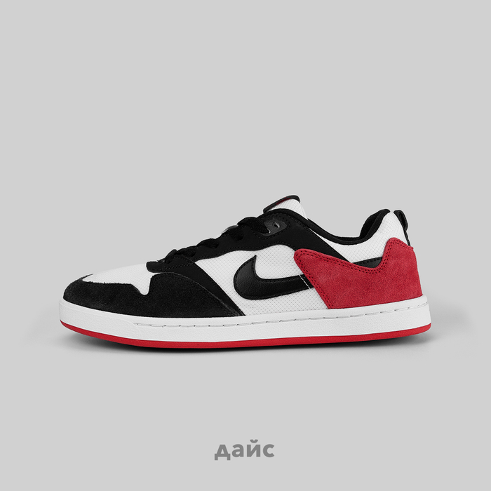 Nike SB Alleyoop Dice
