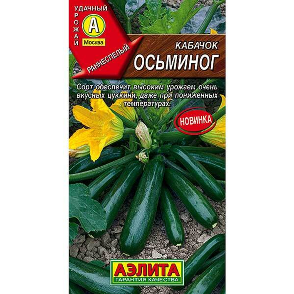 Кабачок Осьминог Аэлита Ц